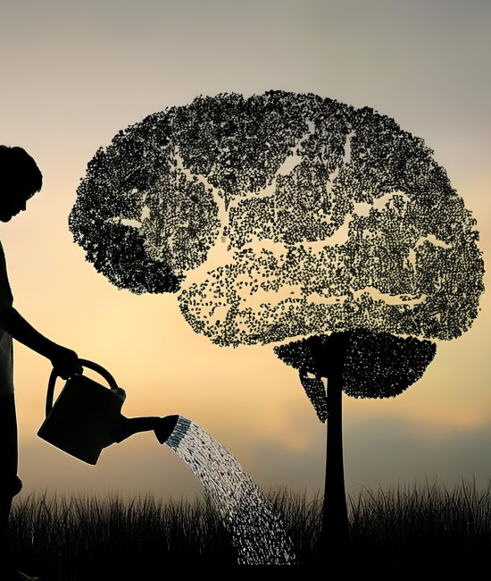 Concept: growth of mind and knowledge, creativity and improvement, intelligence and education. Silhouette of a man watering a tree in the shape of a human brain. Silhouette of a man watering a tree in the shape of a human brain. Concept: growth of mind and knowledge, creativity and improvement, intelligence and education.
